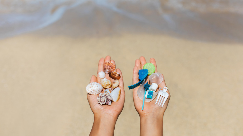 Nuestro compromiso con un paraíso libre de plásticos en Nuevo Vallarta