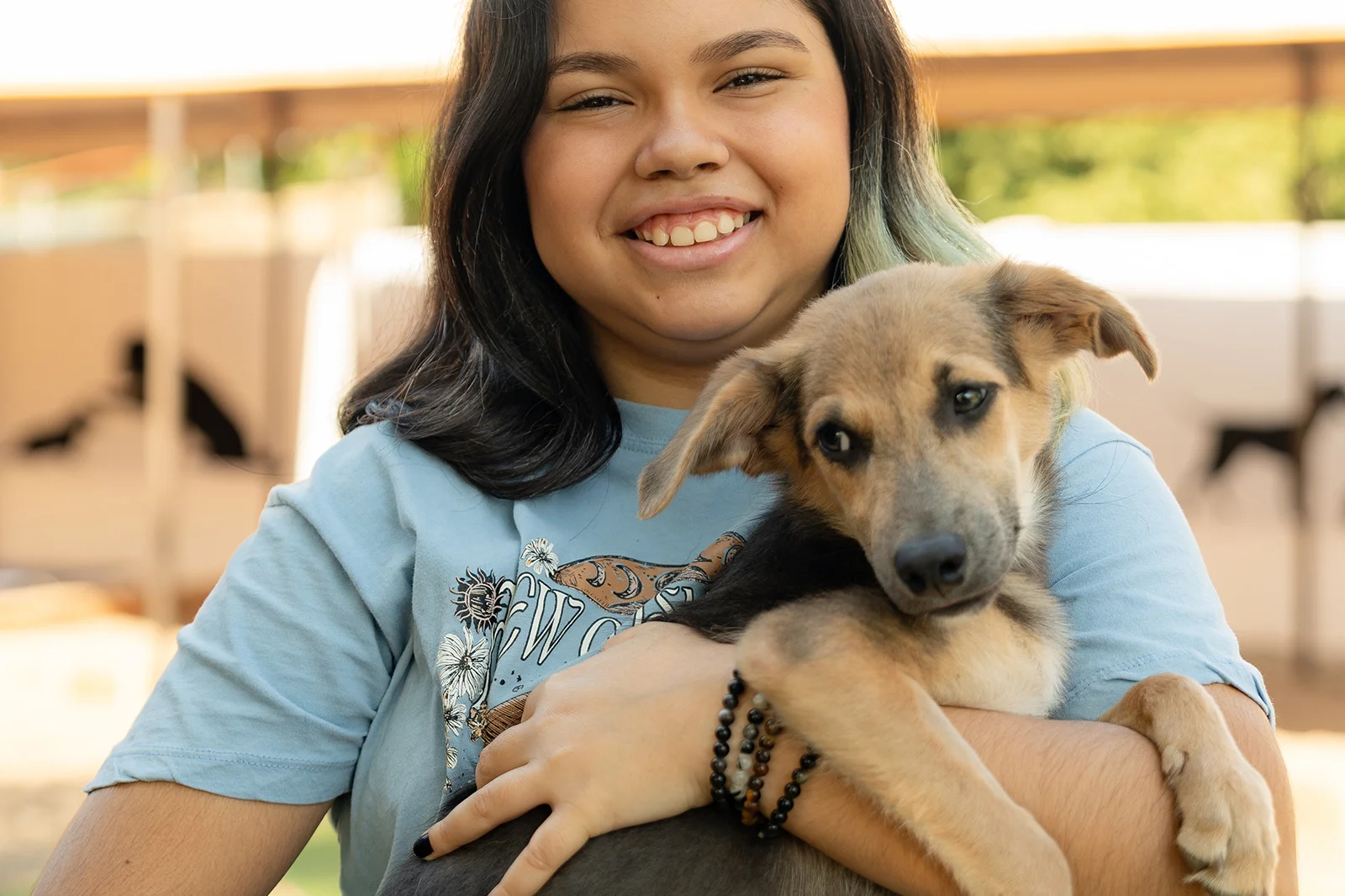 A Dog’s New Life Marival Distinct