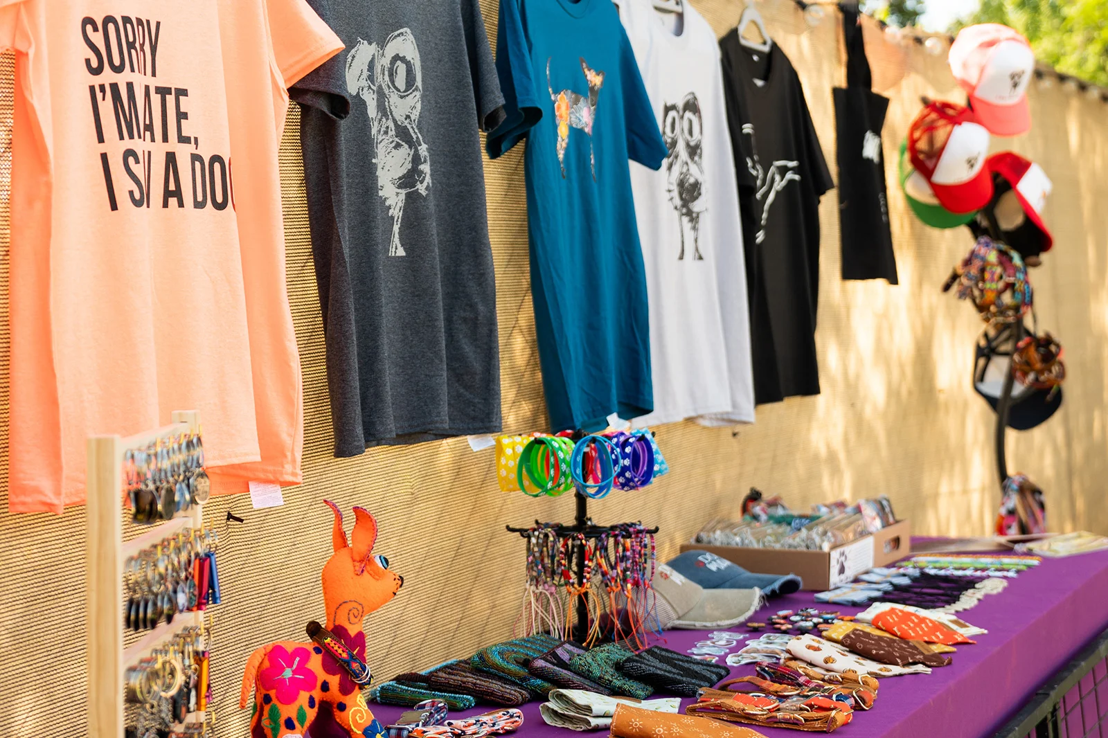 A Dog’s New Life Marival Distinct