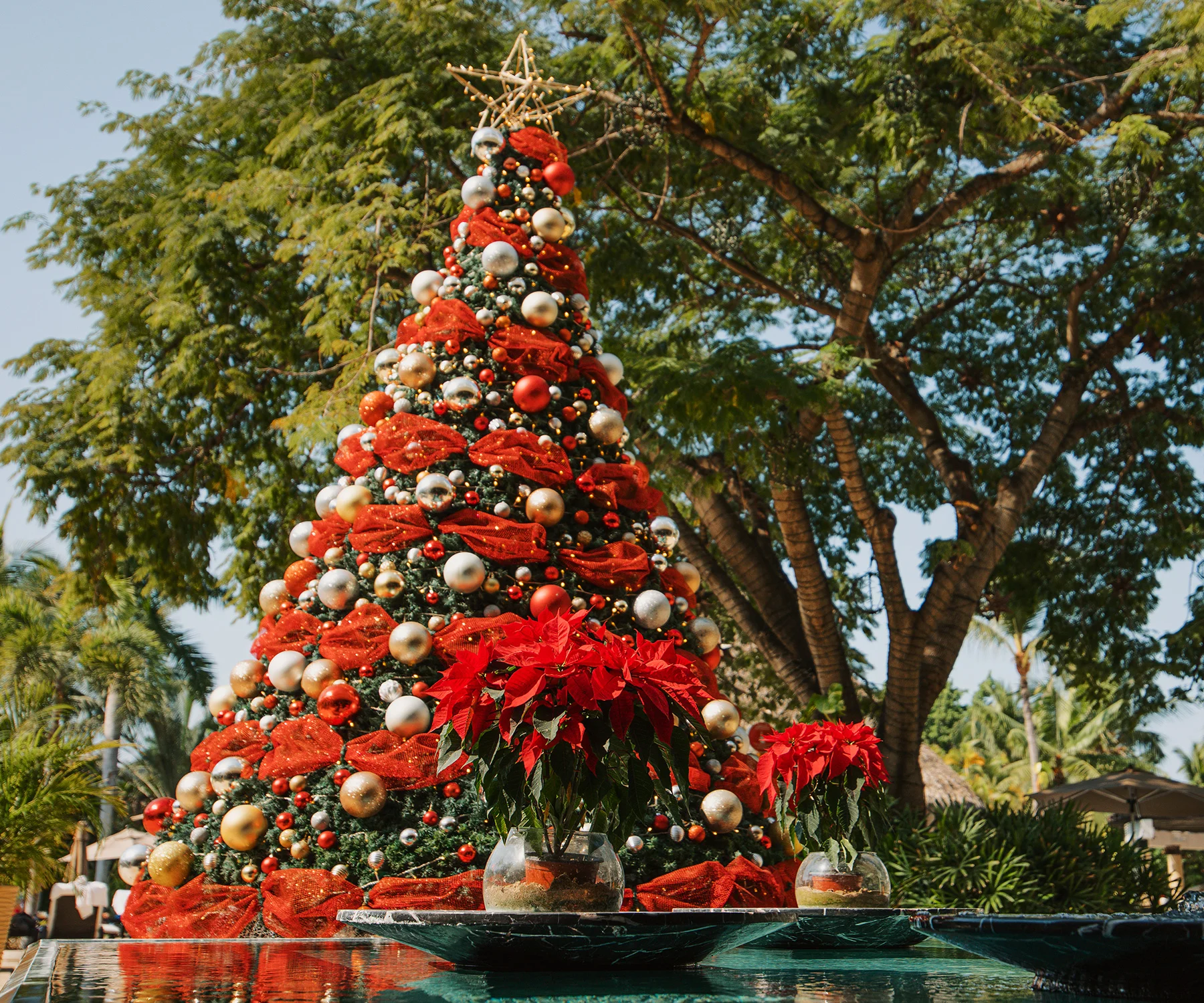 Árbol de Navidad decorado en rojo y dorado junto a la alberca en Marival