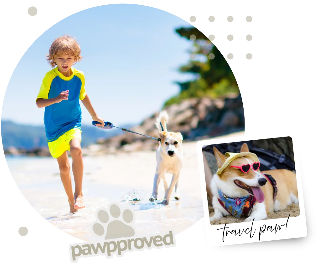 ¡Los perritos también necesitamos vacaciones!